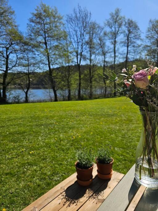 Villa Mysigt 1720 Tals Torp Pa Privat Halvoe Naera Goeteborg Mölnlycke Esterno foto